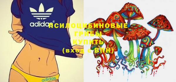 прущая мука Дубна