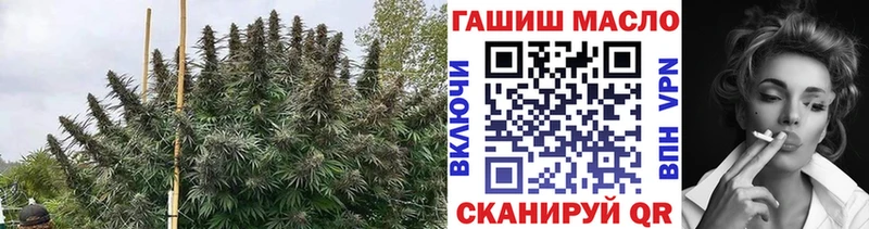 наркошоп  Богородск  ТГК концентрат 