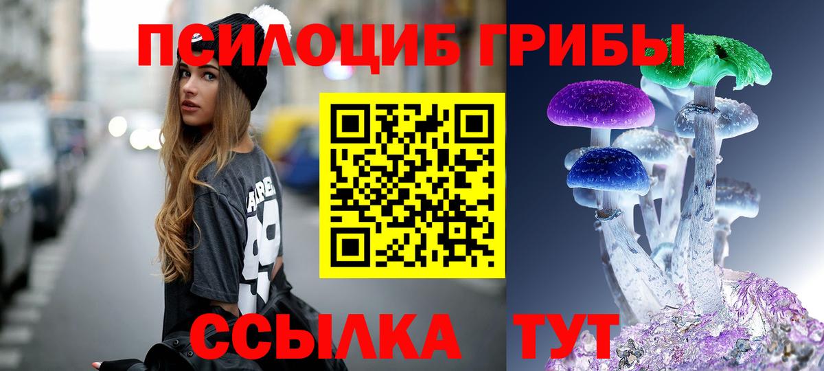 Псилоцибиновые грибы ЛСД  Псилоцибиновые грибы Psilocybe  Богородск  Вход с VPN 