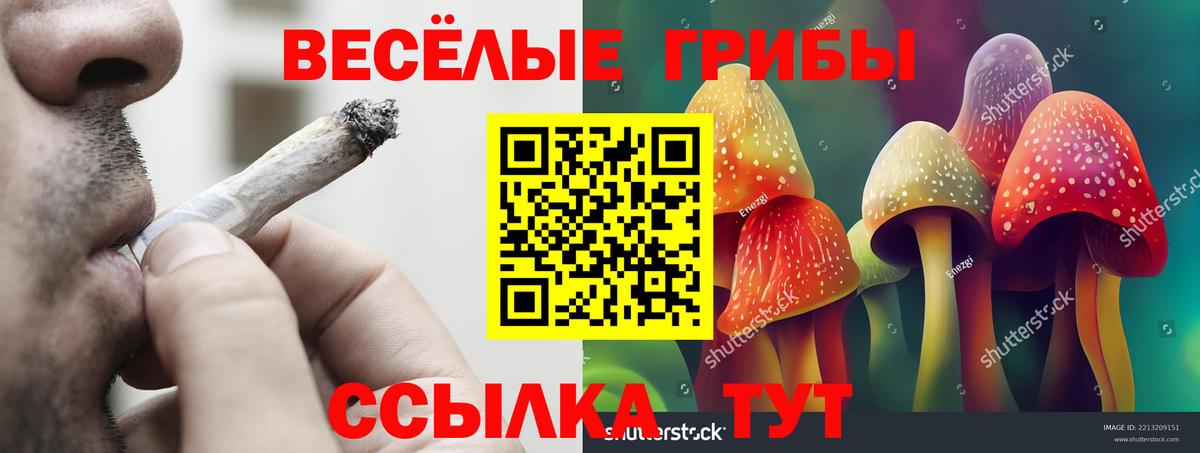 Галлюциногенные грибы мицелий Богородск